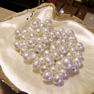 86270220 128778325313937 7650083163657469952 n