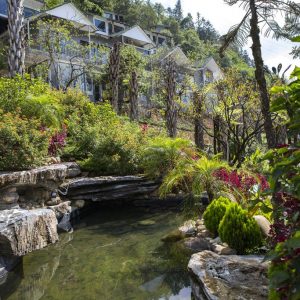 CC Hills resort3