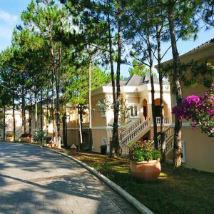 Dalat Edense accommodation mimosa superior outside alley sunshine 1000x666 1