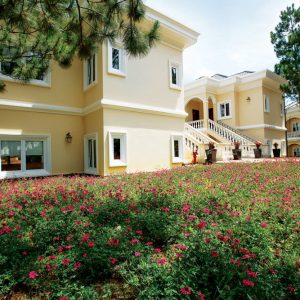 Dalat Edense accommodation mimosa superior villa main 1000x667 1