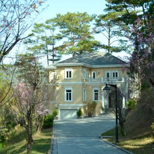 Dalat Edense accommodation vip villa outside alley trees 1000x667 1