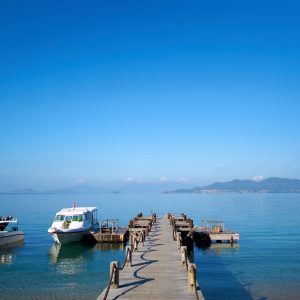 Jetty5 6590 ORIGINAL 1