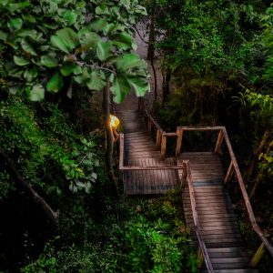 LAlya NVB Hill Rock Villa Wooden Stair