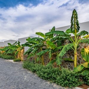 qt 29a gallery 5b56ef7959e32